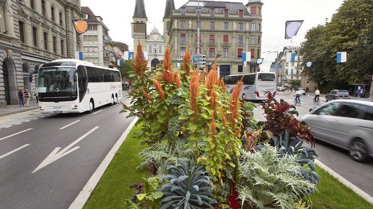 Warum Badigänger und Vögel vom neuen Parkhaus profitieren könnten